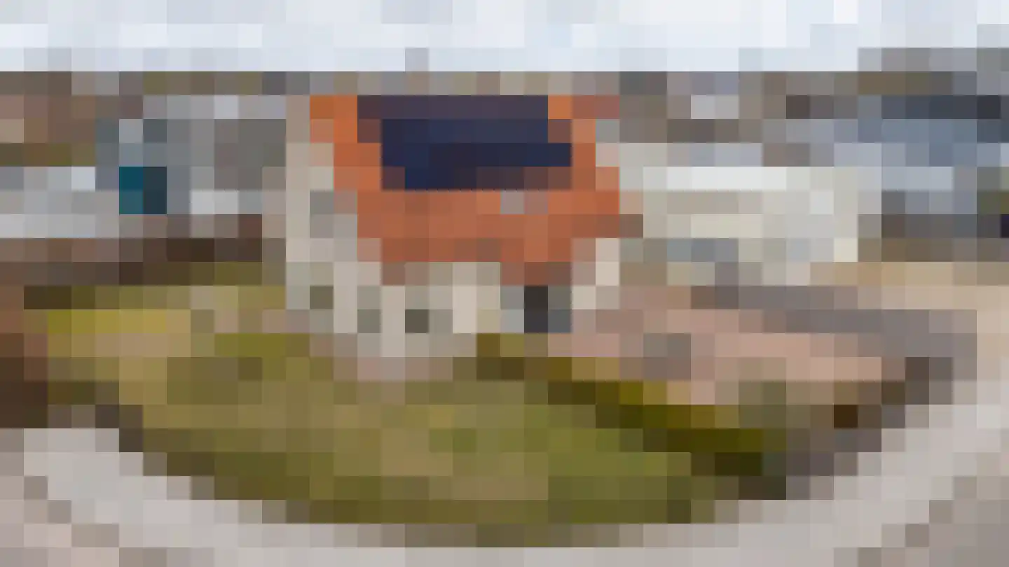 Deeling 9 Roden thumbnail 50