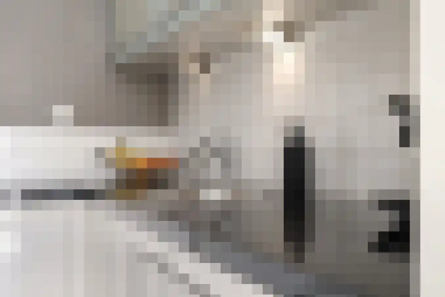 Deellaan 33 Bemmel thumbnail 24