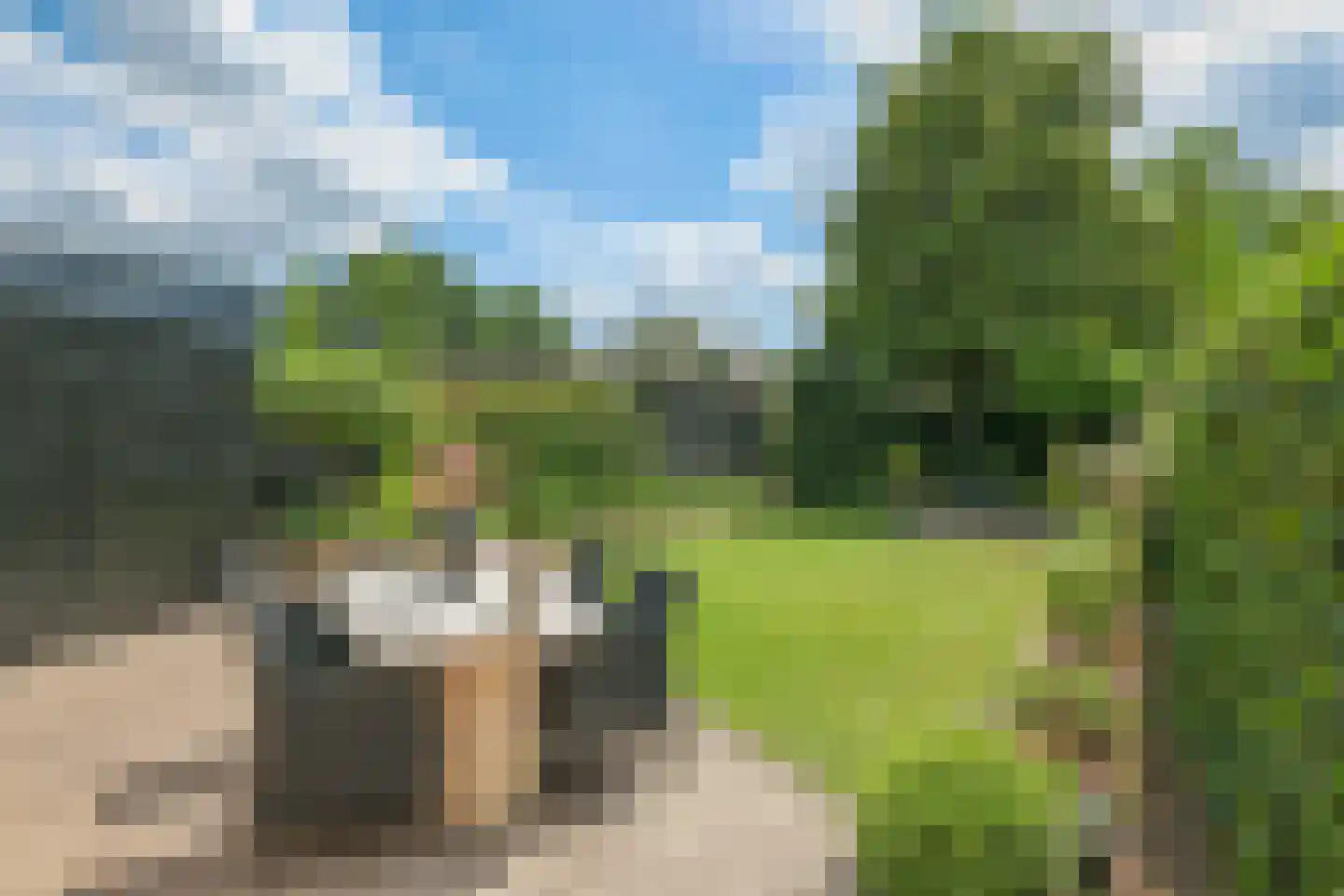 Deellaan 33 Bemmel thumbnail 33