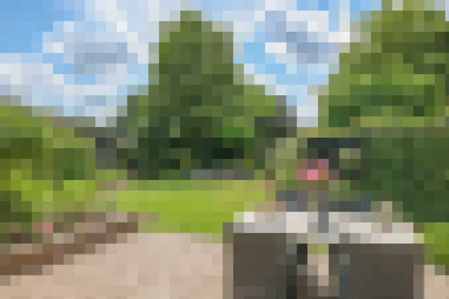 Deellaan 33 Bemmel thumbnail 34