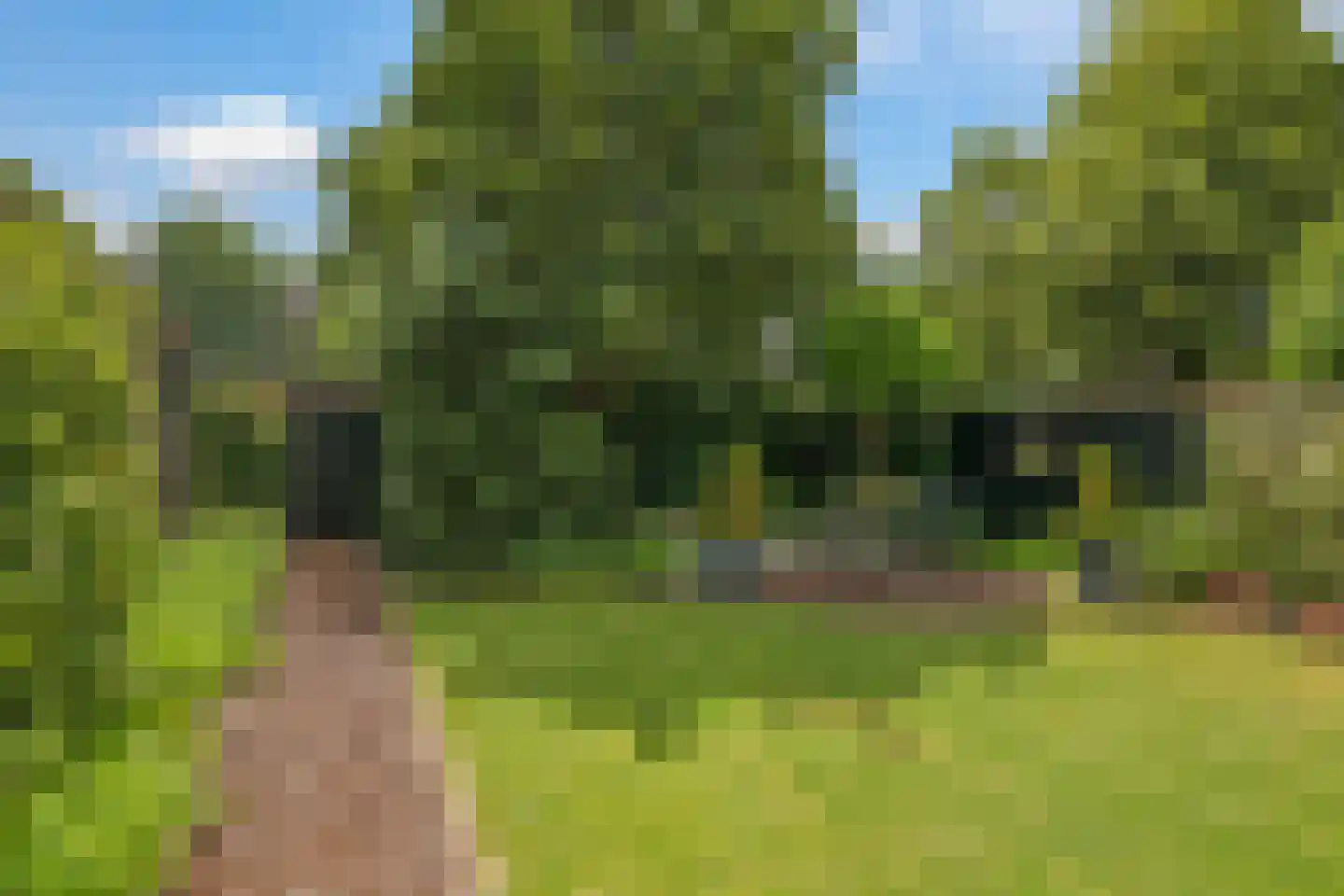 Deellaan 33 Bemmel thumbnail 35