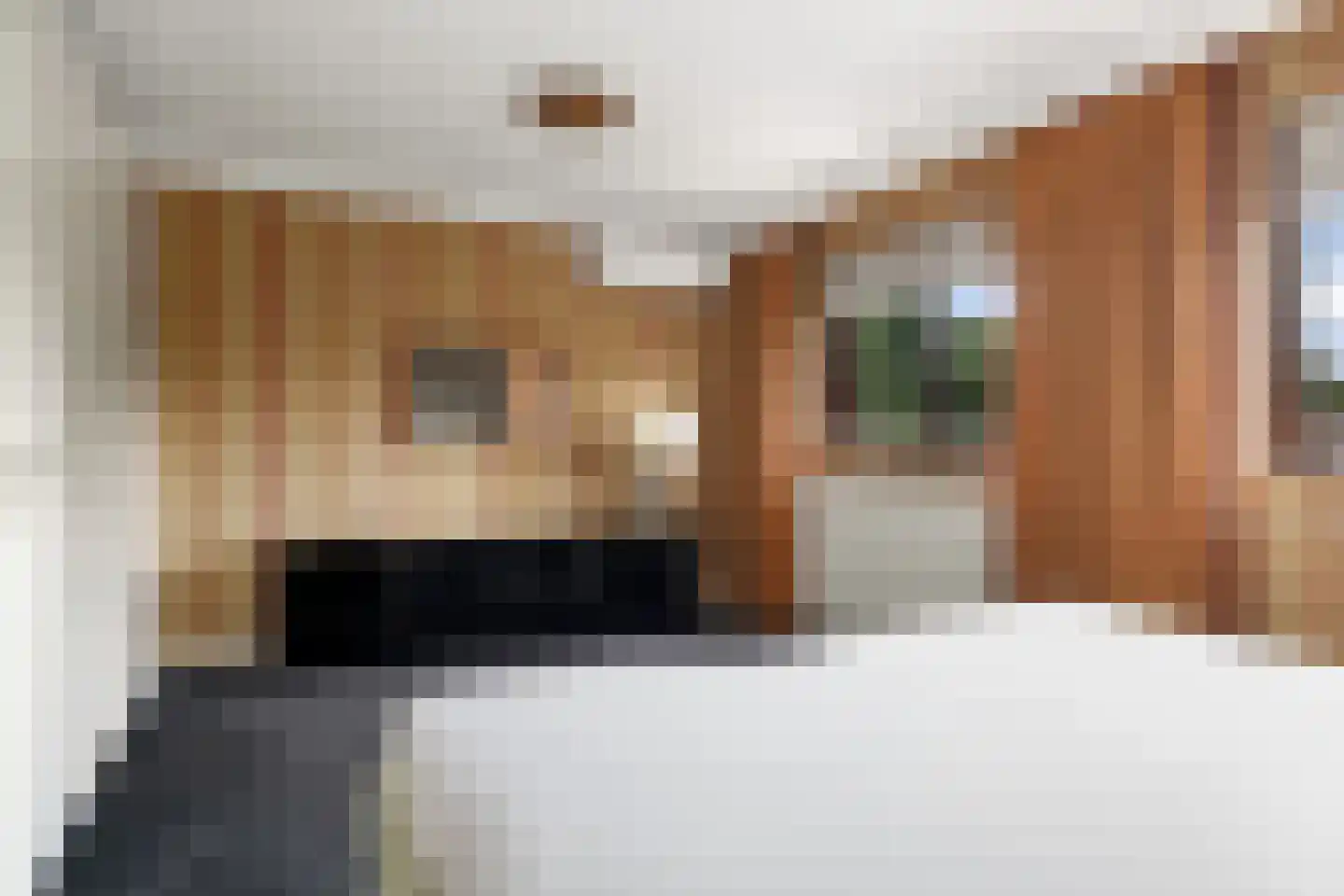Deellaan 33 Bemmel thumbnail 40