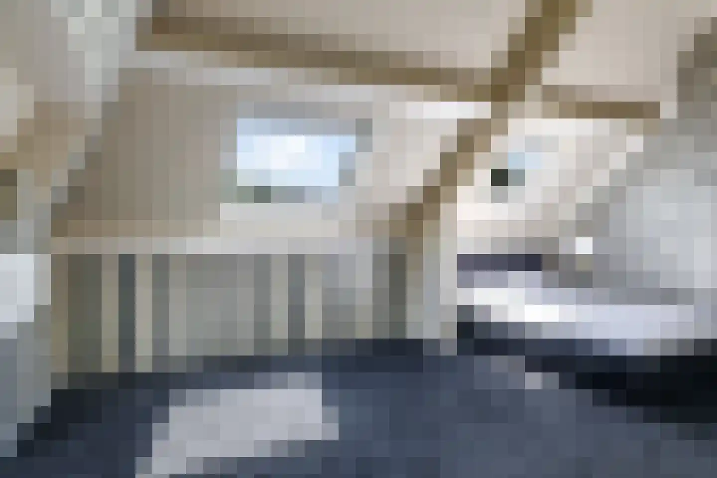 Deellaan 33 Bemmel thumbnail 47