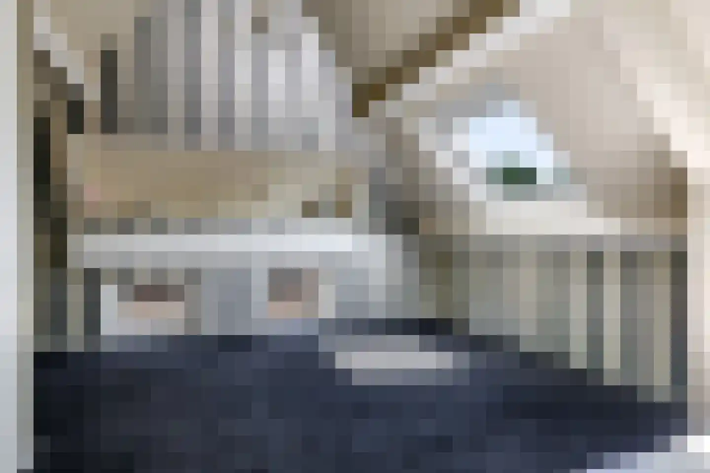 Deellaan 33 Bemmel thumbnail 49