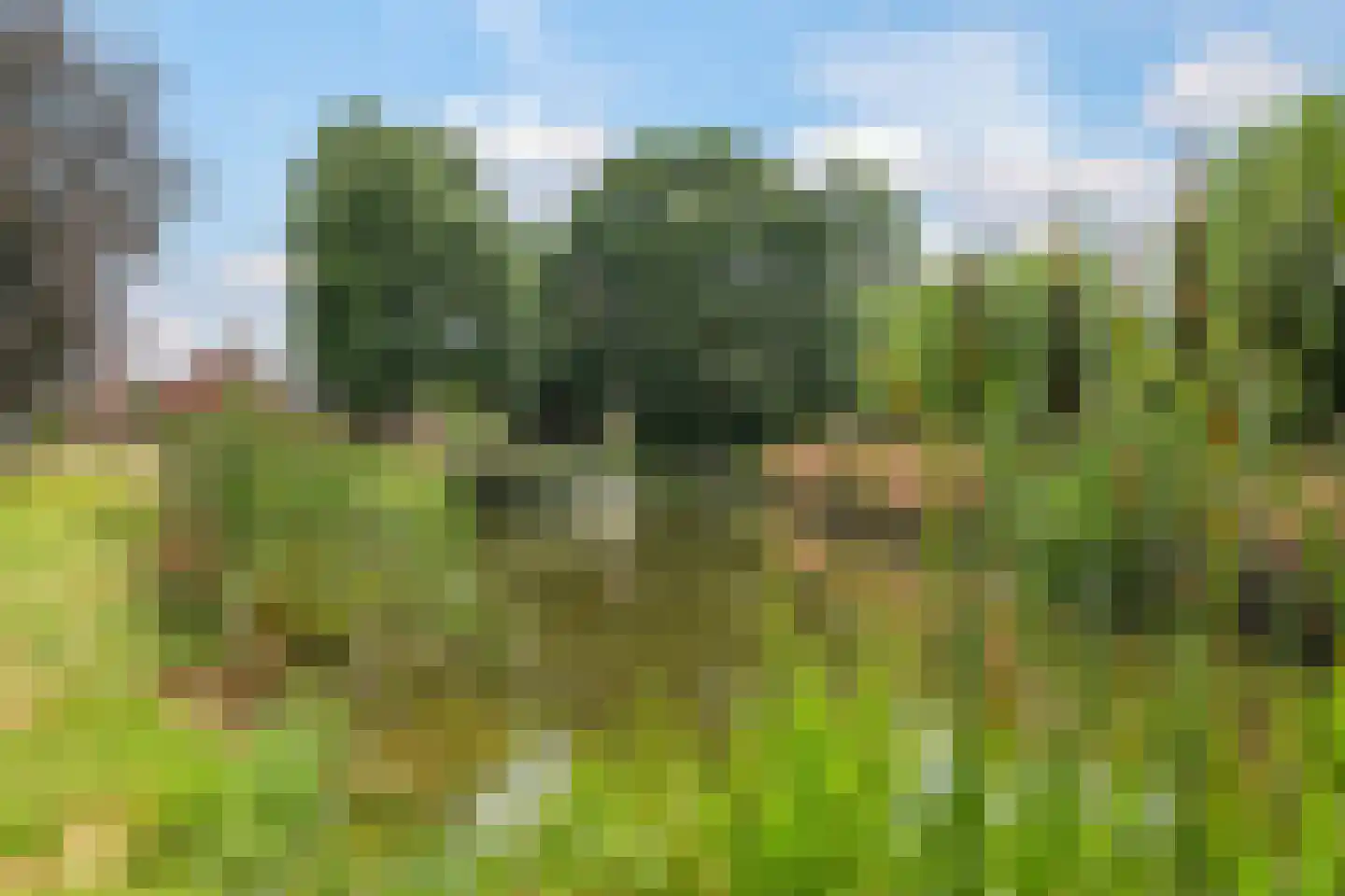 Deellaan 33 Bemmel thumbnail 56