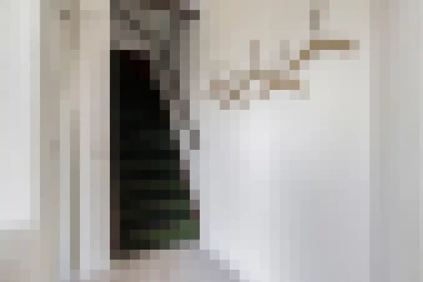 Deellaan 33 Bemmel thumbnail 6