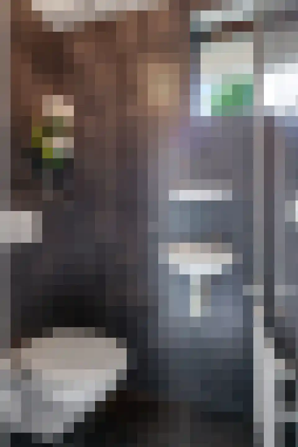 Deellaan 33 Bemmel thumbnail 7
