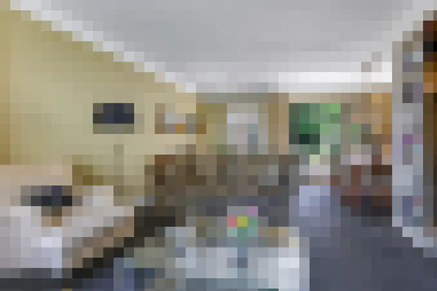 Deellaan 33 Bemmel thumbnail 9