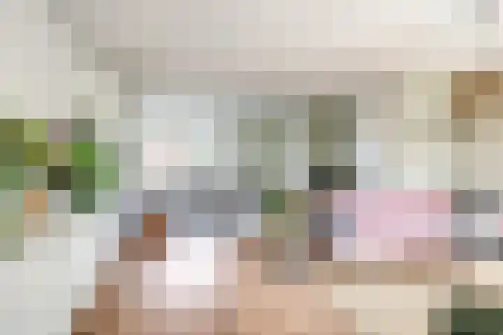 Deellaan 35 Bemmel thumbnail 17