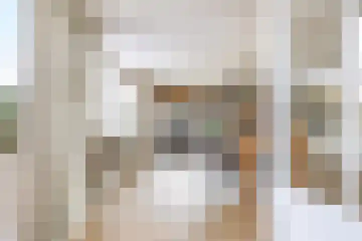 Deellaan 35 Bemmel thumbnail 23