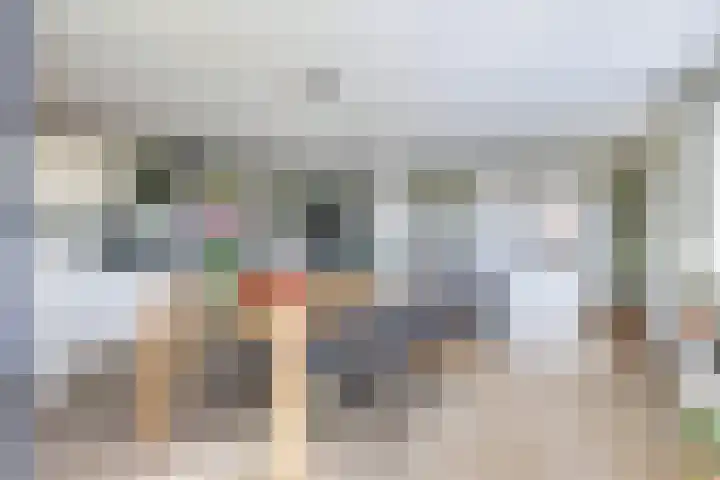 Deellaan 35 Bemmel thumbnail 26