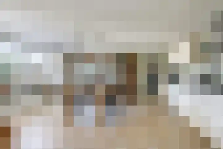 Deellaan 35 Bemmel thumbnail 29