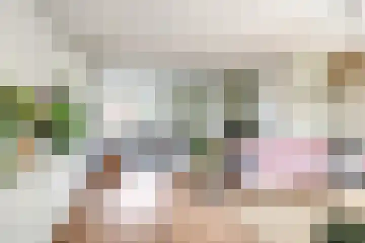 Deellaan 35 Bemmel foto 3