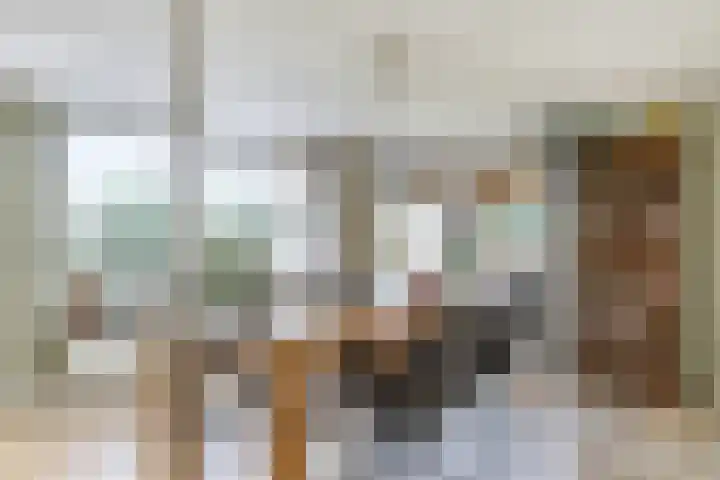 Deellaan 35 Bemmel thumbnail 30