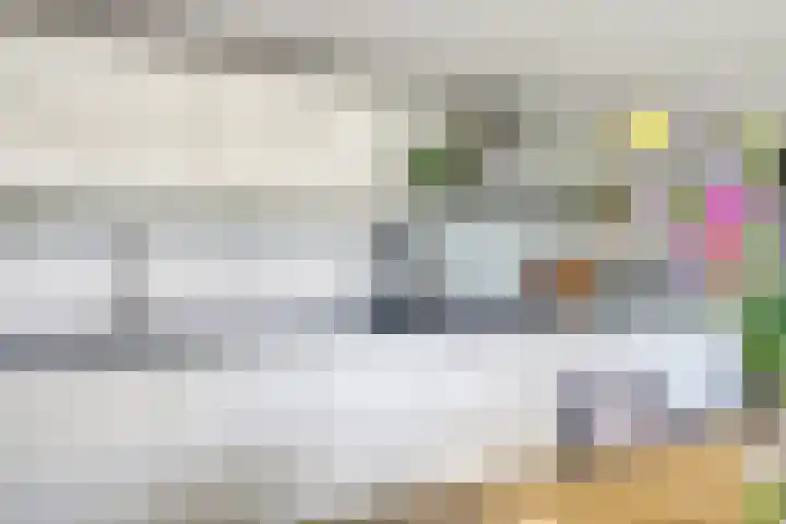 Deellaan 35 Bemmel thumbnail 32
