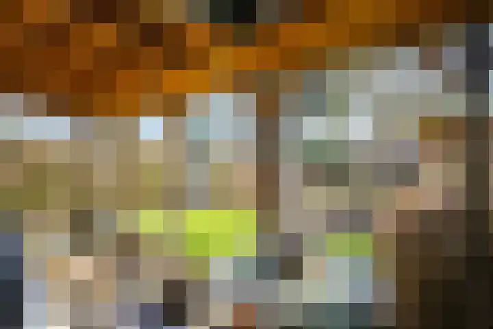 Deellaan 35 Bemmel thumbnail 38