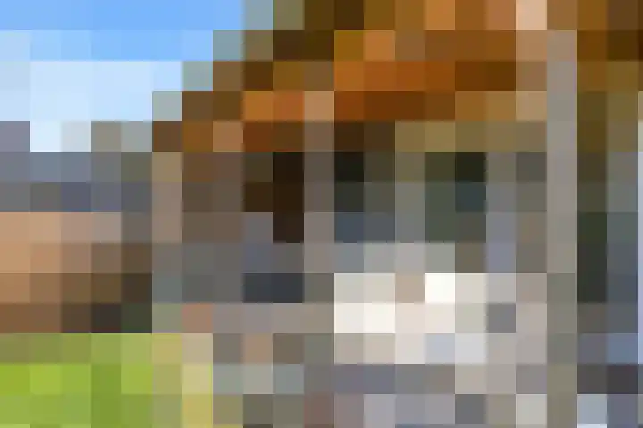 Deellaan 35 Bemmel thumbnail 39