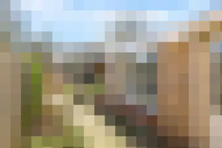 Deellaan 35 Bemmel thumbnail 41
