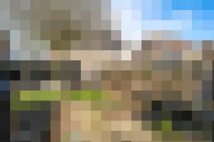 Deellaan 35 Bemmel thumbnail 42
