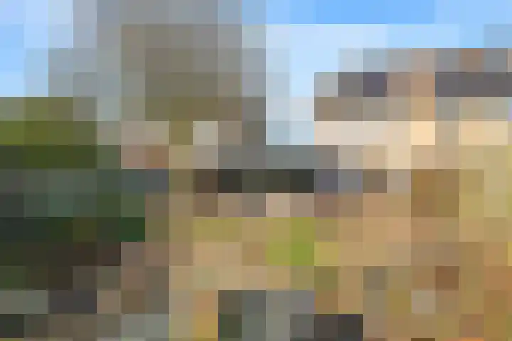 Deellaan 35 Bemmel thumbnail 43