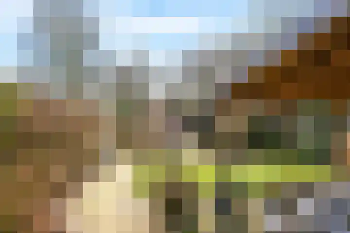 Deellaan 35 Bemmel thumbnail 47