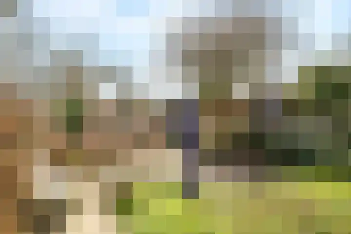 Deellaan 35 Bemmel thumbnail 48