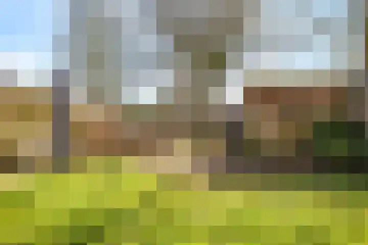 Deellaan 35 Bemmel thumbnail 49