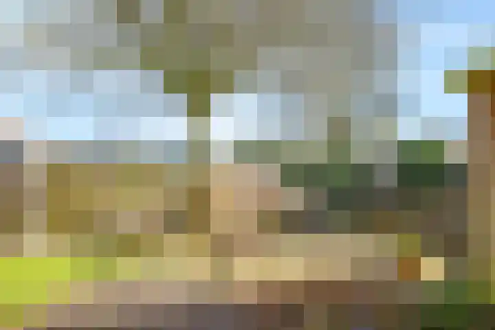 Deellaan 35 Bemmel thumbnail 50