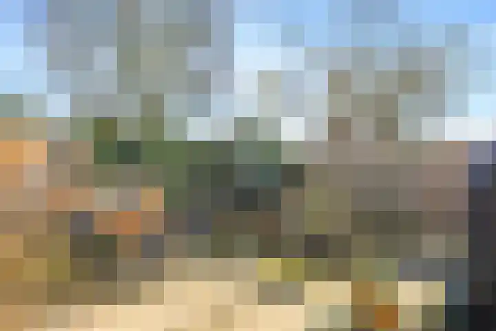 Deellaan 35 Bemmel thumbnail 51
