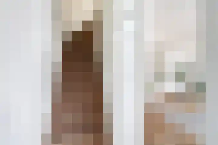 Deellaan 35 Bemmel thumbnail 55