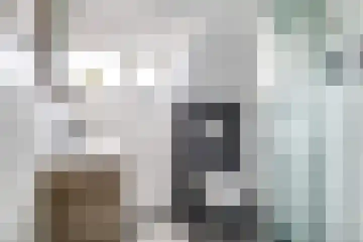 Deellaan 35 Bemmel thumbnail 64