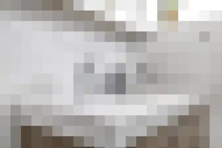 Deellaan 35 Bemmel thumbnail 65
