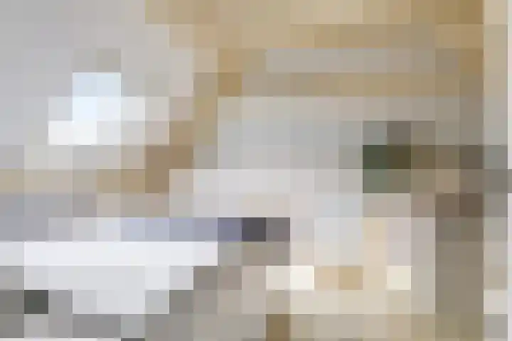 Deellaan 35 Bemmel thumbnail 69