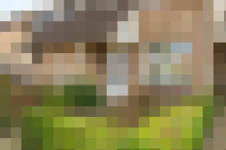 Deellaan 35 Bemmel thumbnail 7