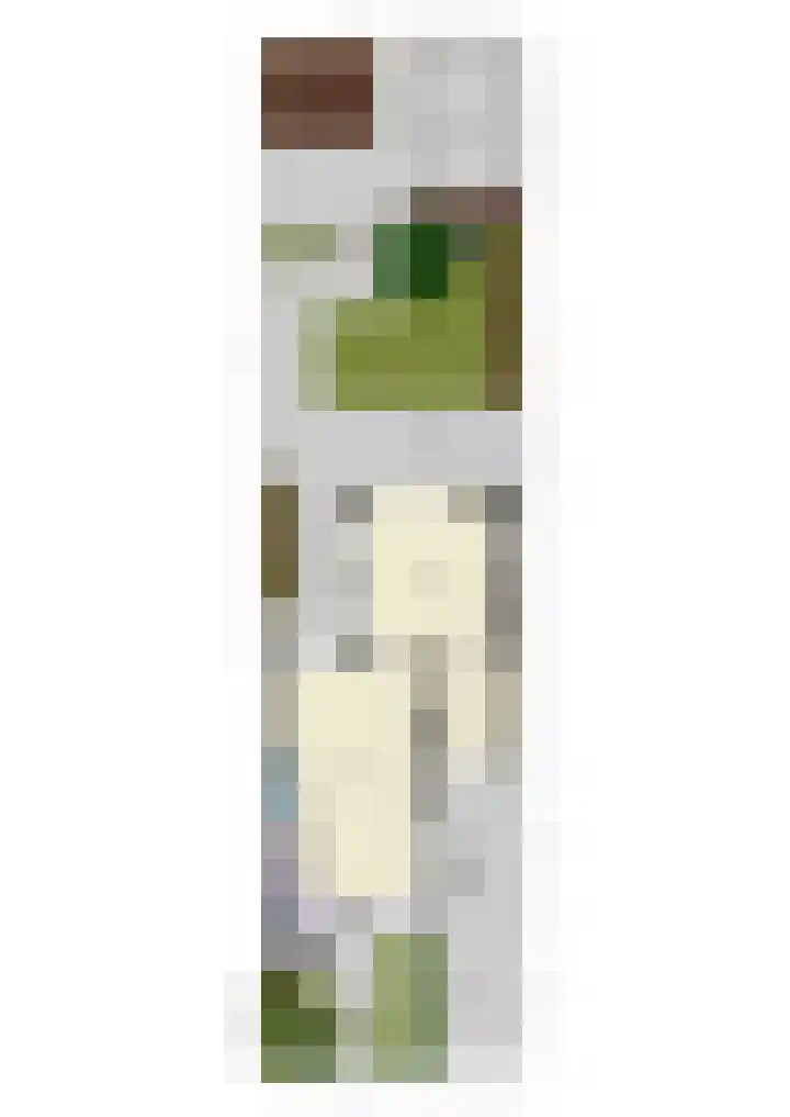 Deellaan 35 Bemmel thumbnail 80