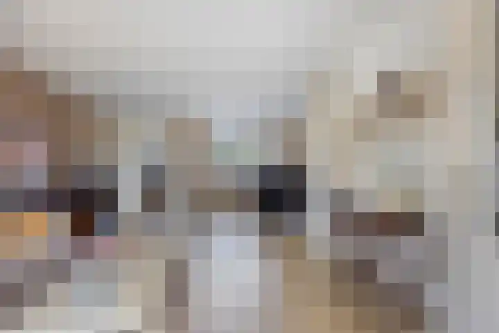Deellaan 50 Bemmel thumbnail 10