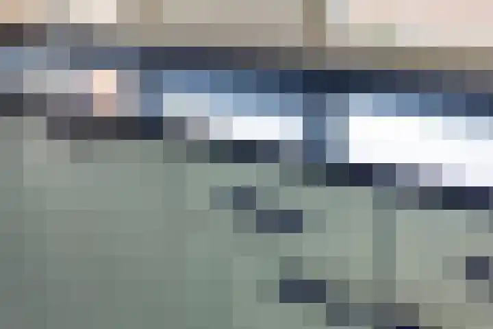 Deellaan 50 Bemmel thumbnail 19