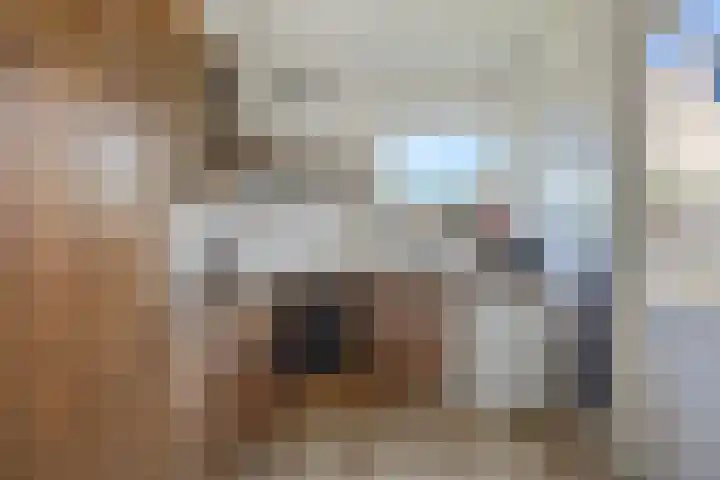 Deellaan 50 Bemmel thumbnail 22