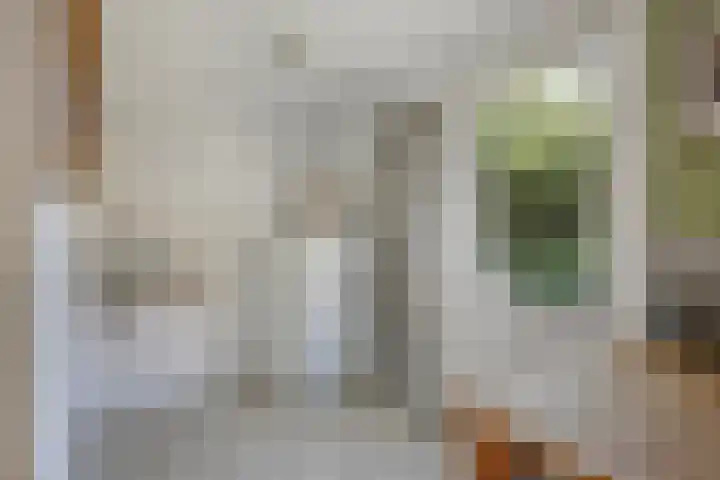 Deellaan 50 Bemmel thumbnail 24