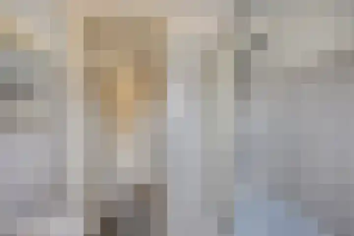 Deellaan 50 Bemmel thumbnail 31