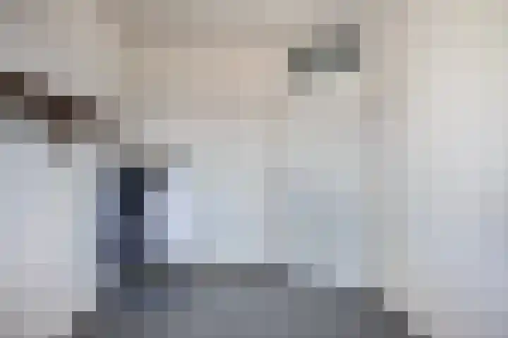 Deellaan 50 Bemmel thumbnail 36