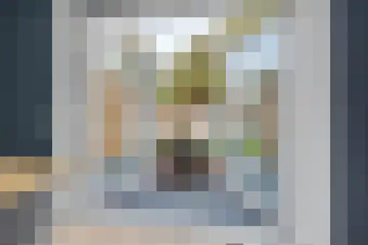 Deellaan 50 Bemmel thumbnail 44