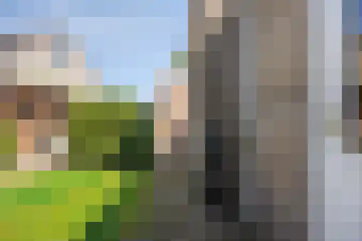 Deellaan 50 Bemmel thumbnail 45