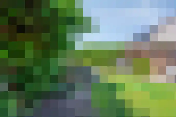 Deellaan 50 Bemmel thumbnail 46