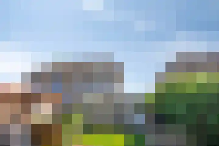 Deellaan 50 Bemmel thumbnail 50