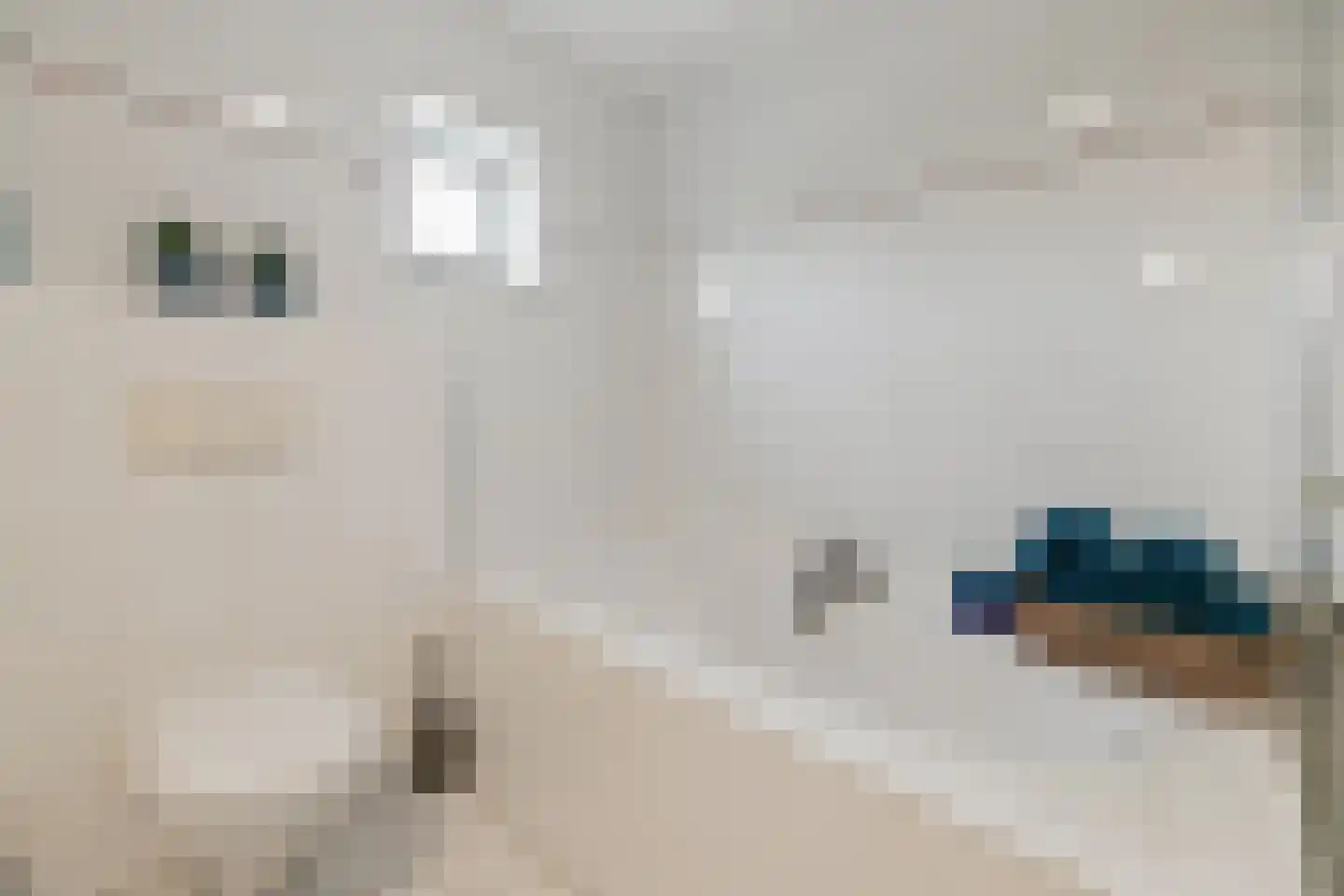 Deellaan 50 Bemmel thumbnail 6