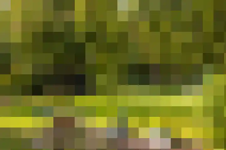 Deellaan 50 Bemmel thumbnail 7