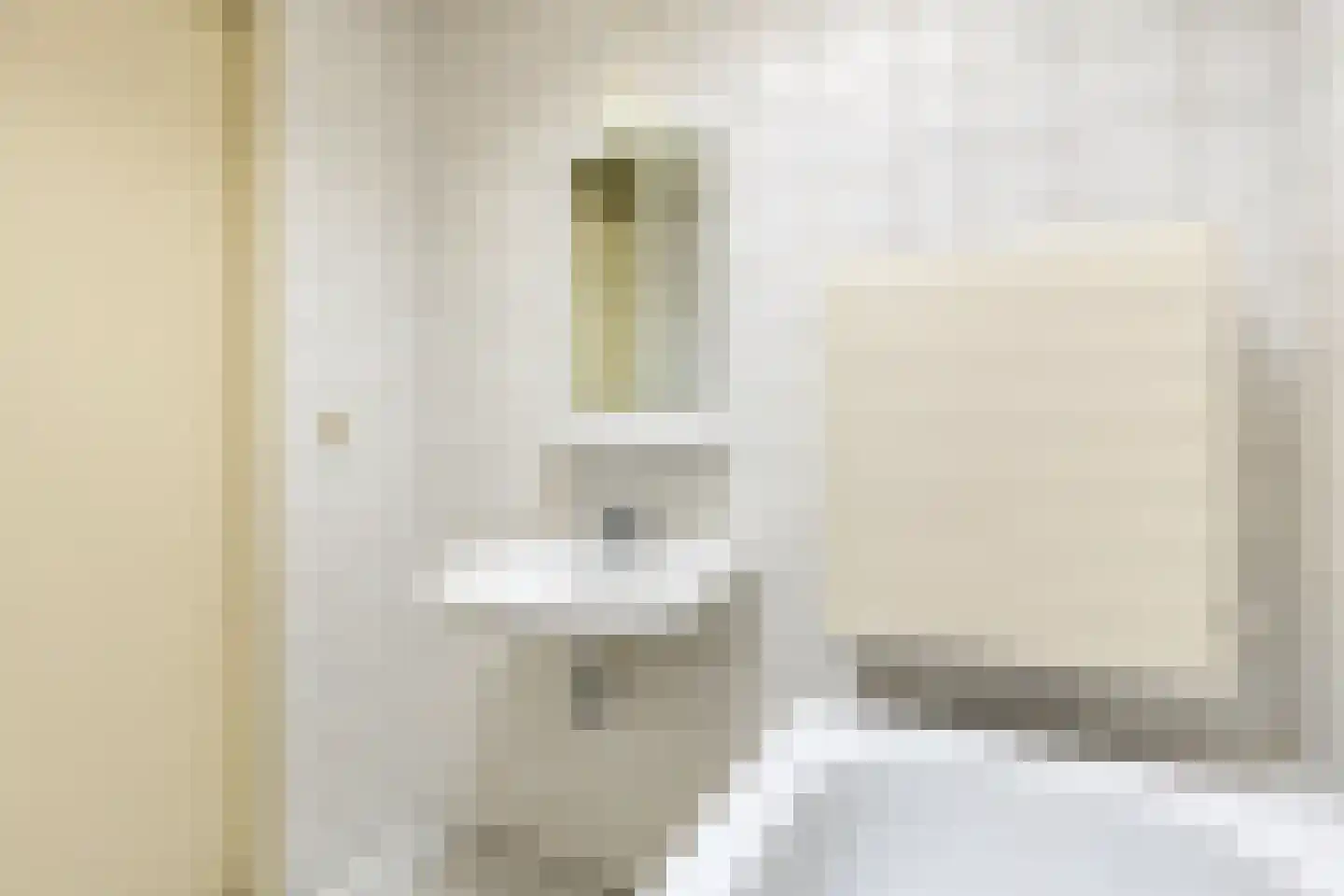 Deelshouten 1 Waalre thumbnail 15