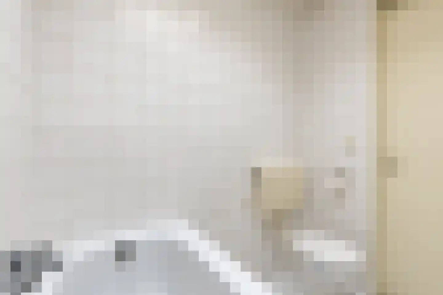 Deelshouten 1 Waalre thumbnail 16