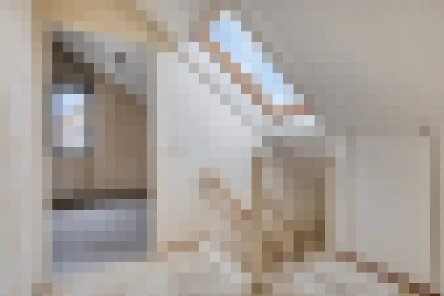 Deelshouten 1 Waalre thumbnail 19